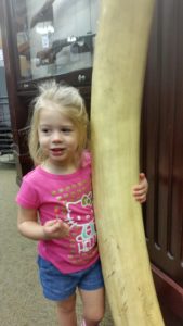 cabelas-tusk